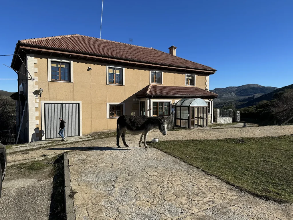 Burro en el exterior del Hotel Pico Espigüete en montaña palentina