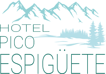logo Hotel Pico Espiguete